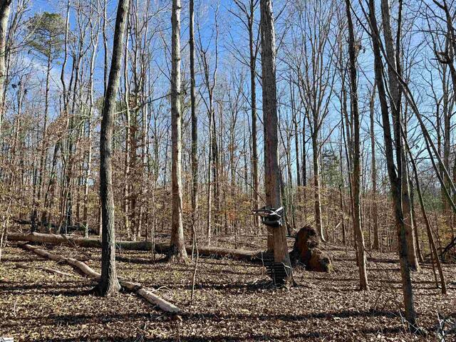 Photo of 00 Neely Ferry Road