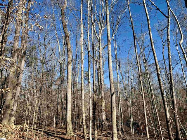Photo of 00 Neely Ferry Road