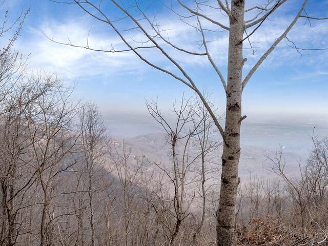 Photo of 99 The Cliffs Parkway