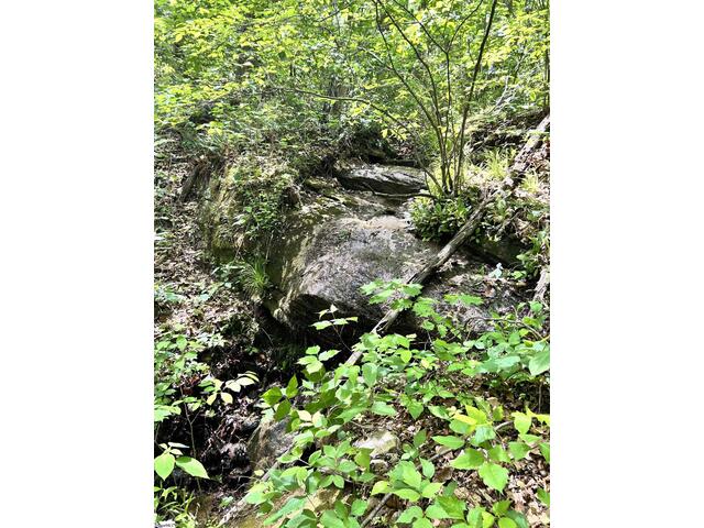 Photo of 00 Needle Cragg Road