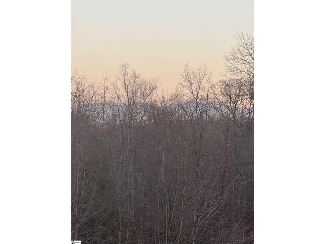 Photo of Lot 11 Mulberry Road