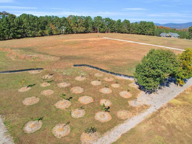 Photo of 137 Dogwood Boulevard