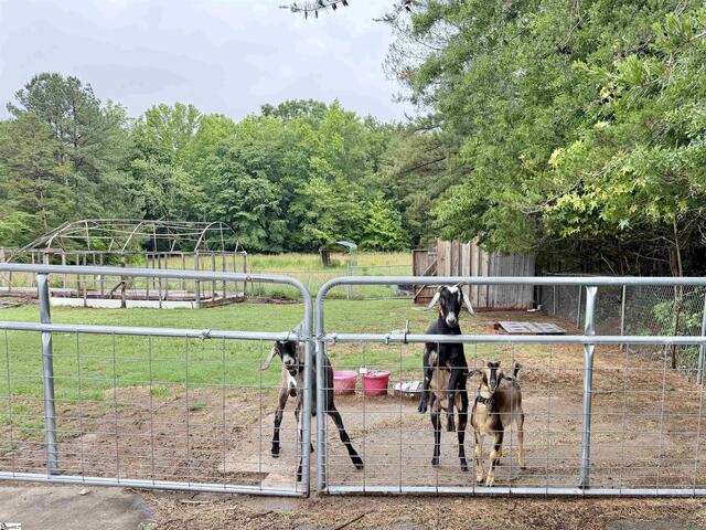 Photo of 588 Douglas Road