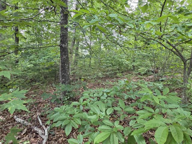 Photo of 219 Luberon Lane