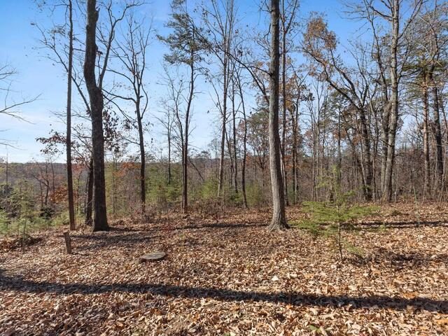 Photo of 219 Luberon Lane