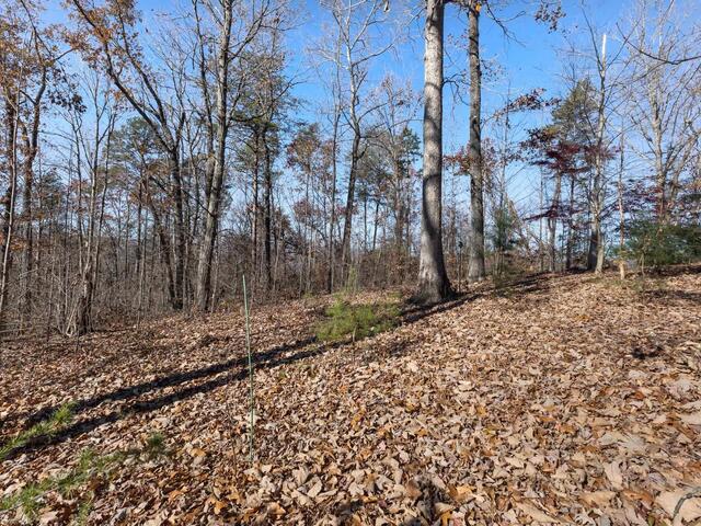 Photo of 219 Luberon Lane