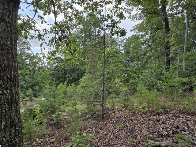 Photo of 219 Luberon Lane