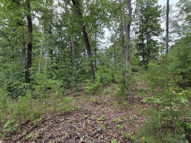 Photo of 219 Luberon Lane