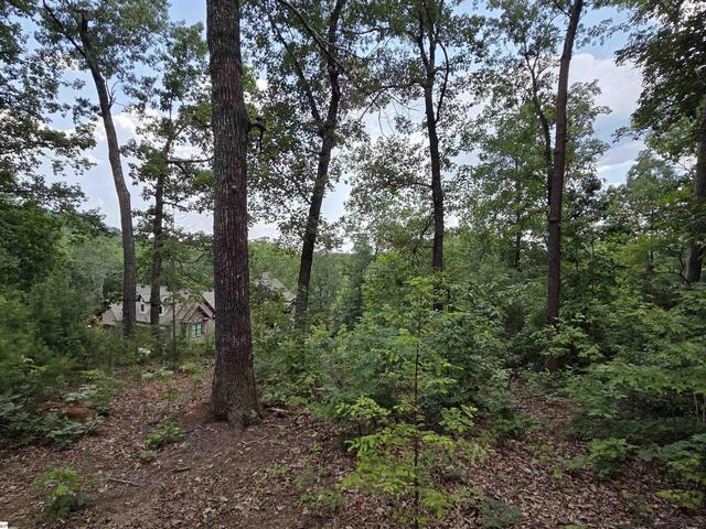 Photo of 219 Luberon Lane