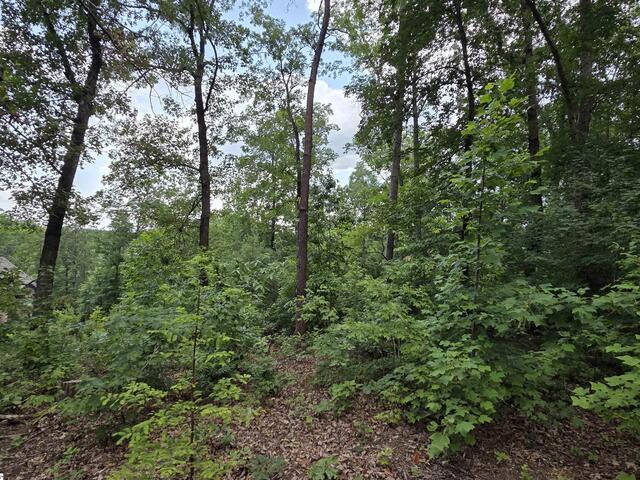 Photo of 219 Luberon Lane