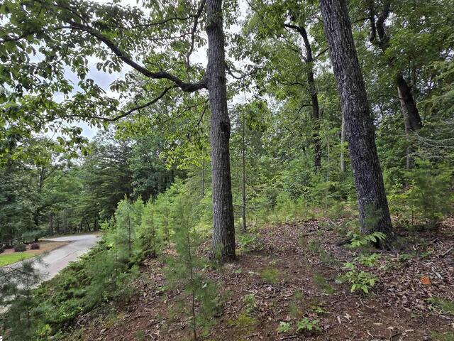 Photo of 219 Luberon Lane