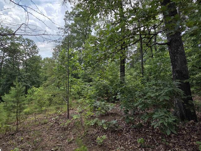 Photo of 219 Luberon Lane