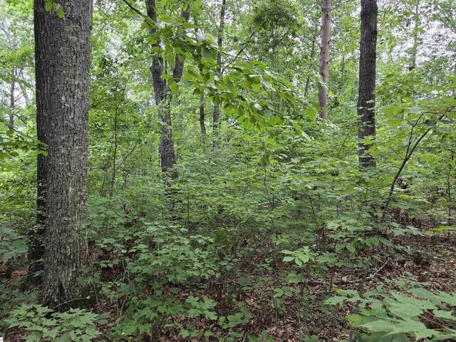 Photo of 219 Luberon Lane