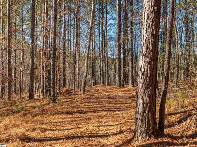 Photo of 010 Mill Pine Road