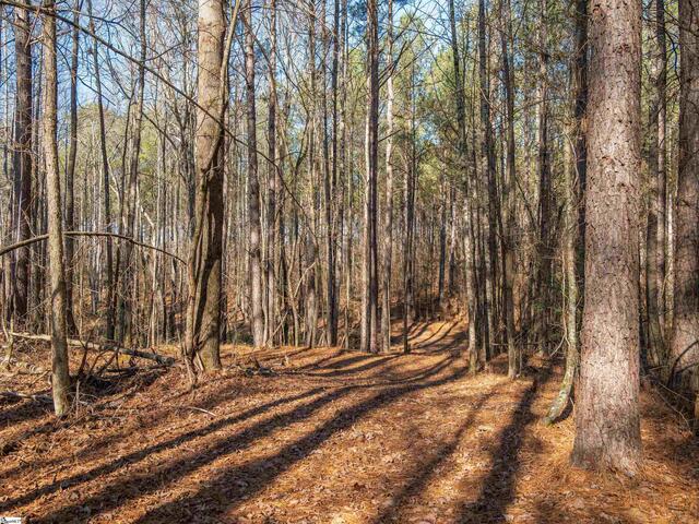 Photo of 010 Mill Pine Road