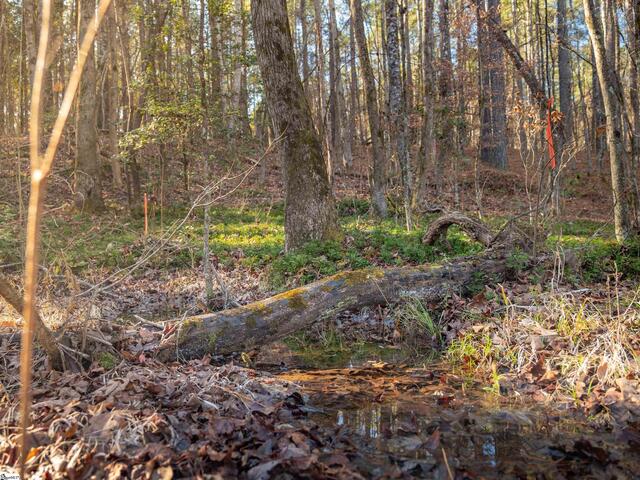 Photo of 010 Mill Pine Road