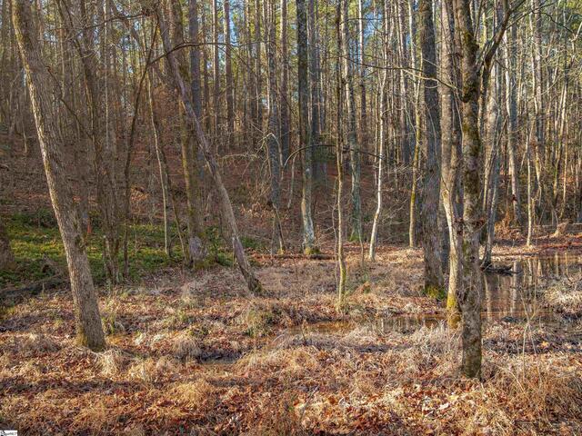 Photo of 010 Mill Pine Road