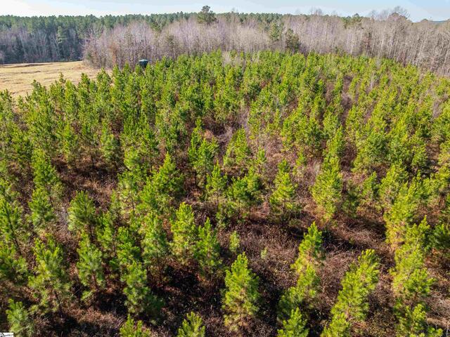 Photo of 010 Mill Pine Road