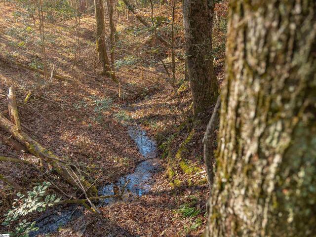 Photo of 010 Mill Pine Road