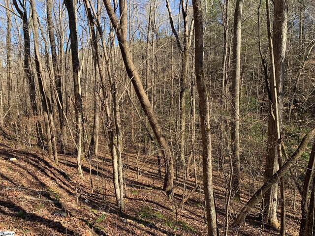 Photo of 157 SAW MILL Road