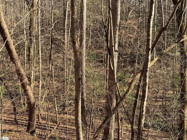 Photo of 157 SAW MILL Road
