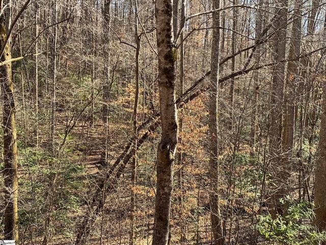 Photo of 157 SAW MILL Road