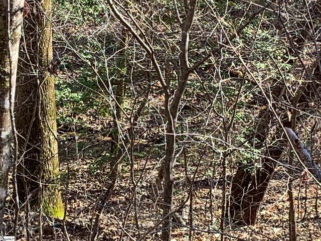 Photo of 157 SAW MILL Road