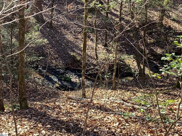 Photo of 157 SAW MILL Road