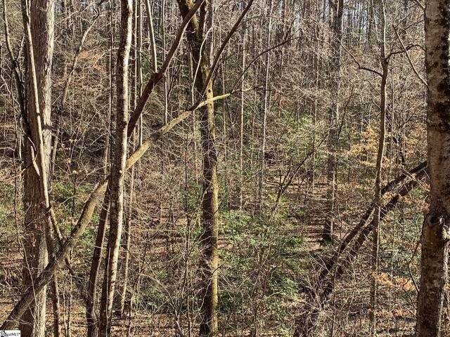 Photo of 157 SAW MILL Road