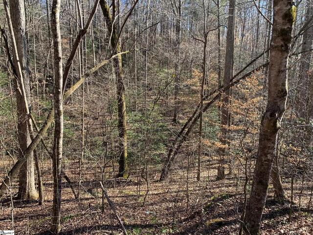 Photo of 157 SAW MILL Road