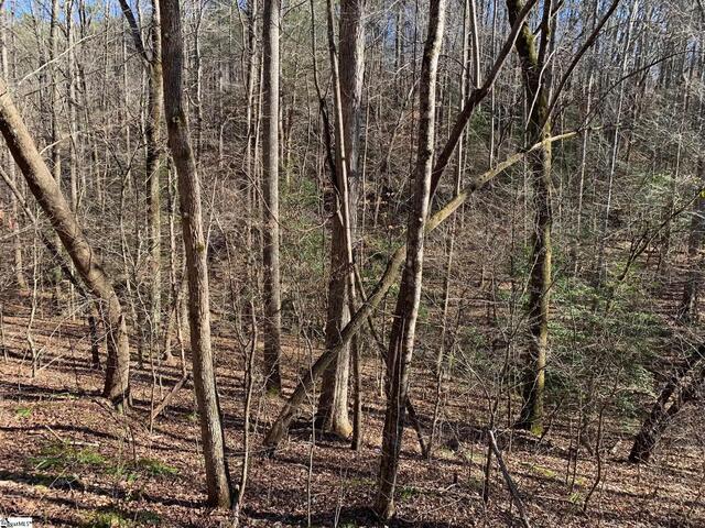 Photo of 157 SAW MILL Road