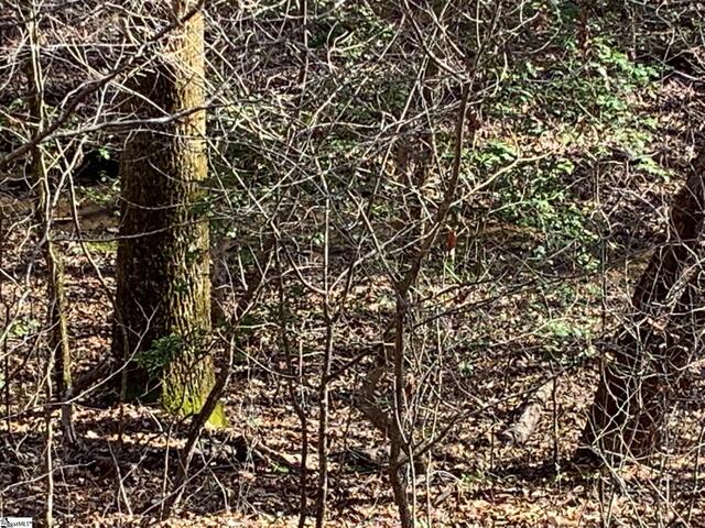 Photo of 157 SAW MILL Road