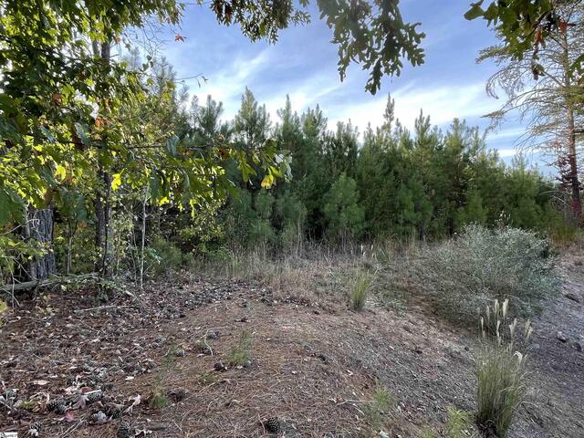 Photo of 17 Tee Box Lane