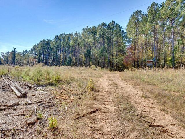 Photo of 1073 Boyds Mill Pond Road