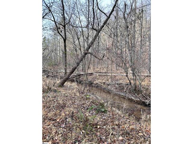 Photo of 00 Little Crowe Creek Road