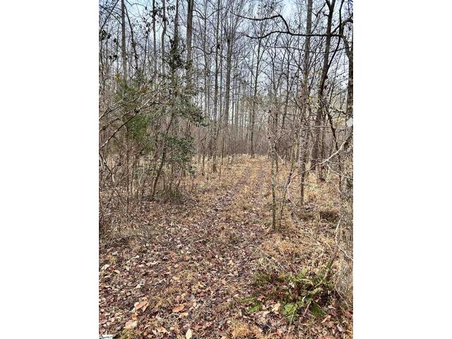 Photo of 00 Little Crowe Creek Road