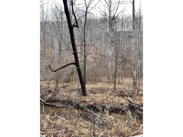 Photo of 00 Little Crowe Creek Road