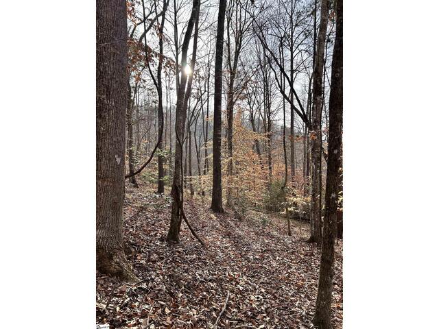 Photo of 00 Little Crowe Creek Road