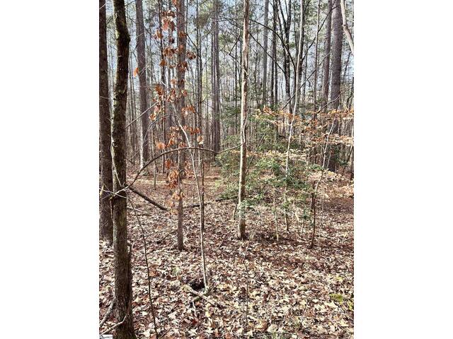 Photo of 00 Little Crowe Creek Road