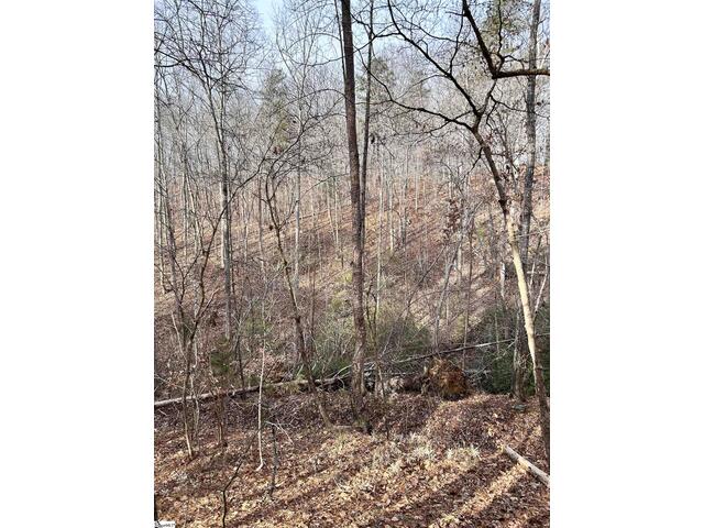 Photo of 00 Little Crowe Creek Road