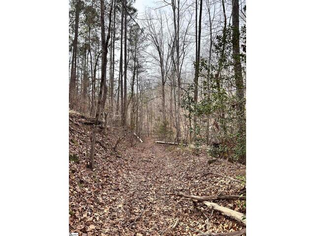 Photo of 00 Little Crowe Creek Road