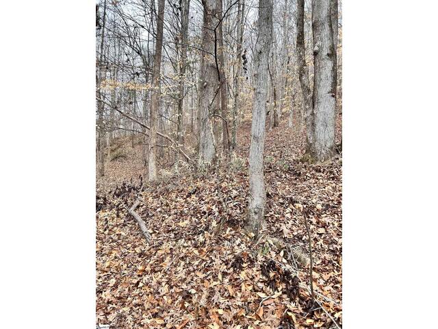 Photo of 00 Little Crowe Creek Road