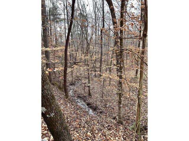 Photo of 00 Little Crowe Creek Road