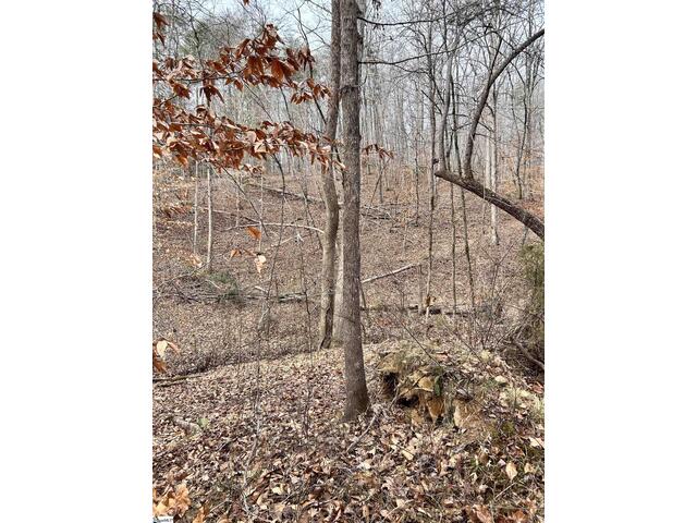 Photo of 00 Little Crowe Creek Road