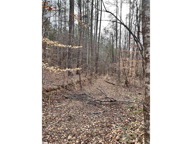 Photo of 00 Little Crowe Creek Road