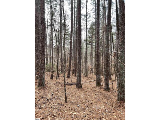 Photo of 00 Little Crowe Creek Road