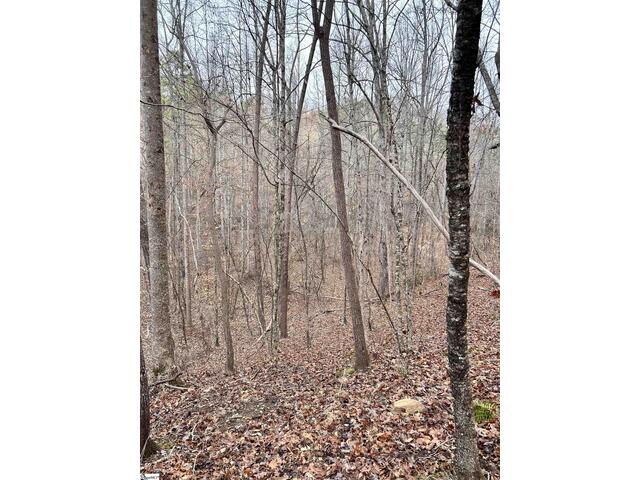 Photo of 00 Little Crowe Creek Road