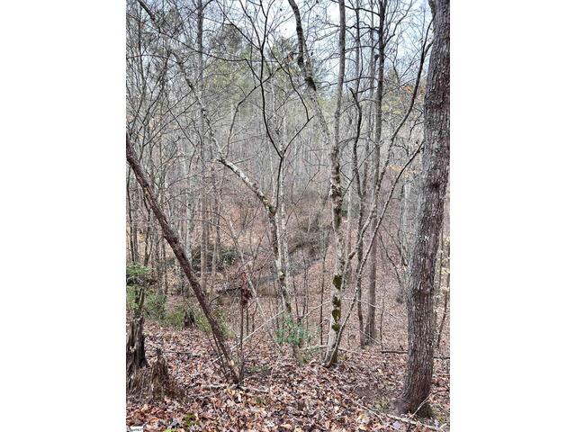 Photo of 00 Little Crowe Creek Road