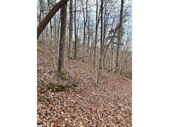 Photo of 00 Little Crowe Creek Road