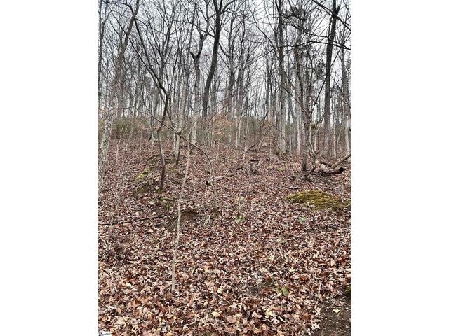 Photo of 00 Little Crowe Creek Road